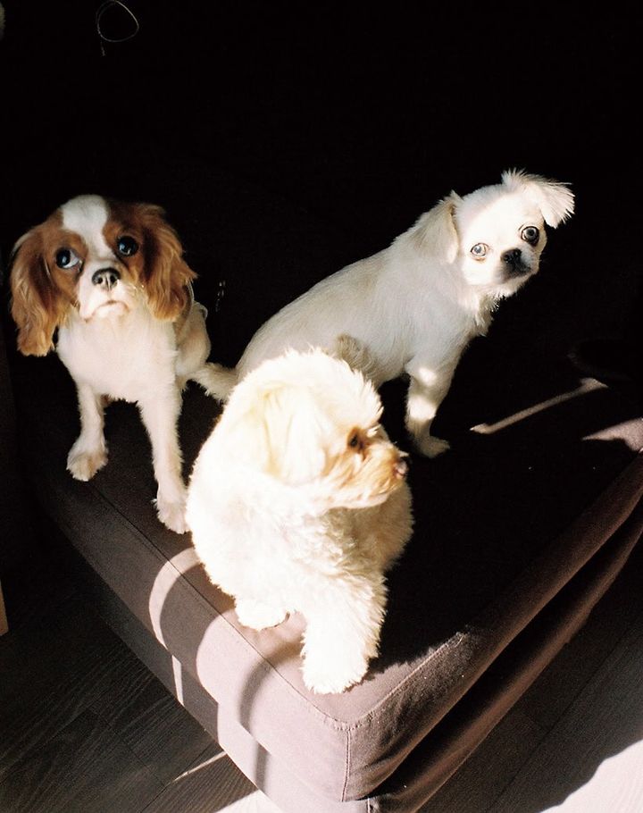 田中芽衣 スマホ待ち受け