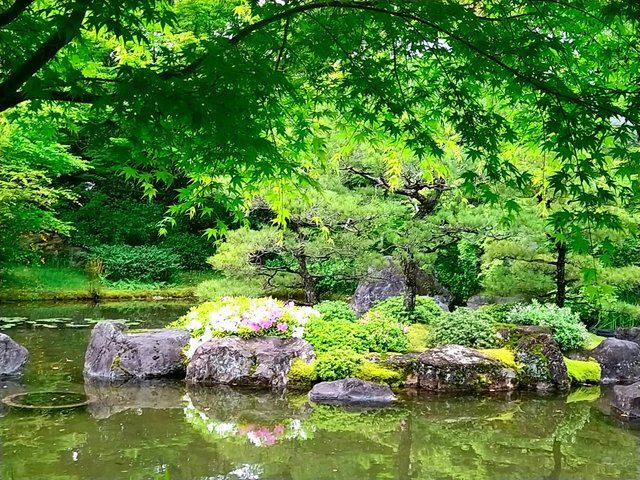 新緑が美しい「平安の庭」