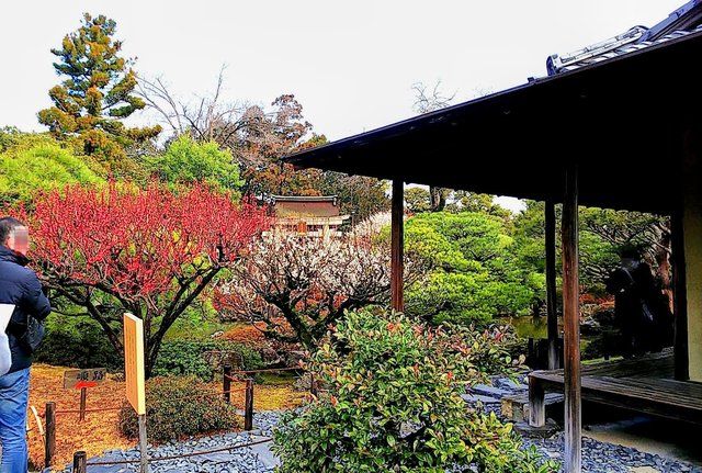 2020年2月参拝時の「室町の庭」