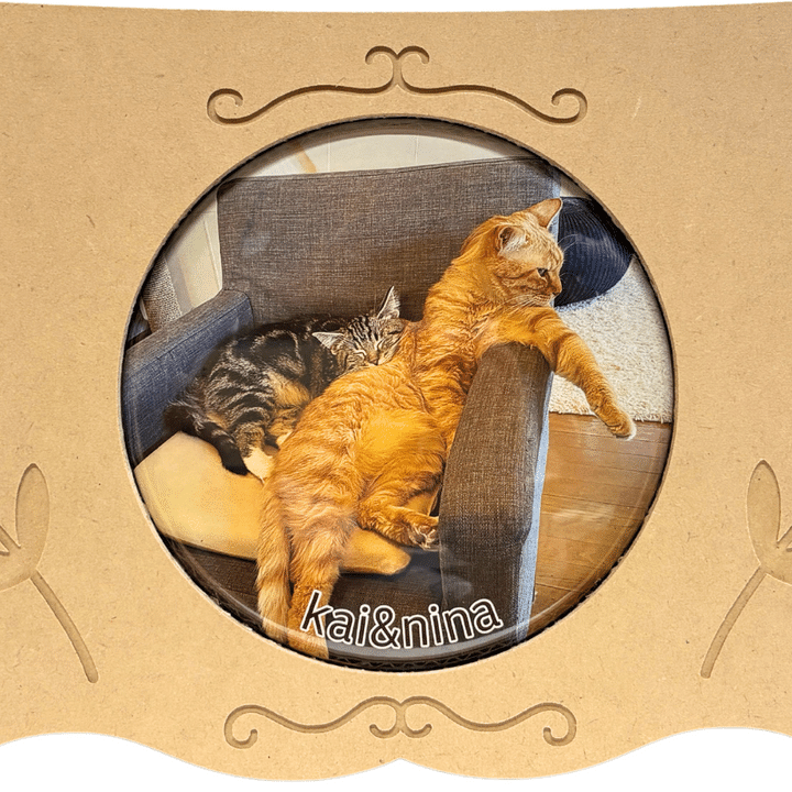 世界一かわいい猫の写真でカスタム、この世に一つの爪とぎベッドに