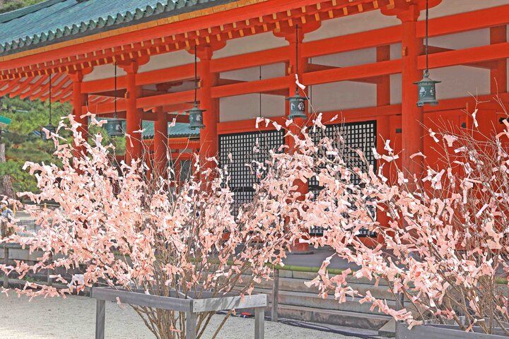 京都・岡崎の桜さんぽで、春色に染まる水辺の風景とアートを満喫♪