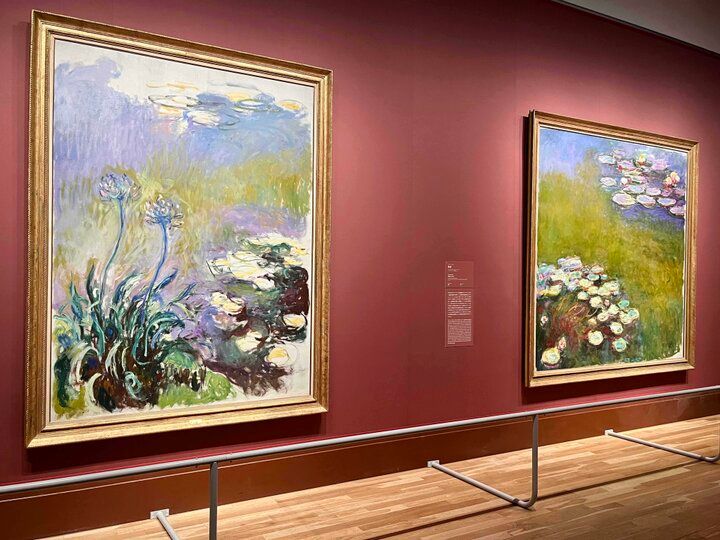 京都・岡崎の桜さんぽで、春色に染まる水辺の風景とアートを満喫♪