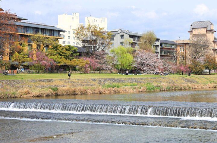京都・岡崎の桜さんぽで、春色に染まる水辺の風景とアートを満喫♪