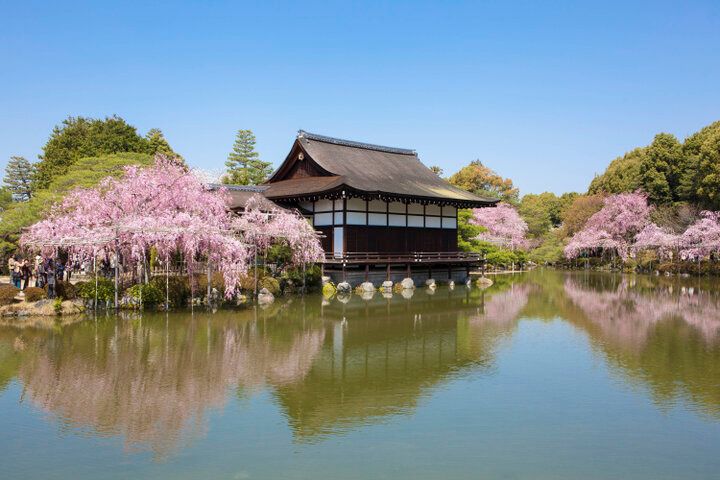 京都・岡崎の桜さんぽで、春色に染まる水辺の風景とアートを満喫♪