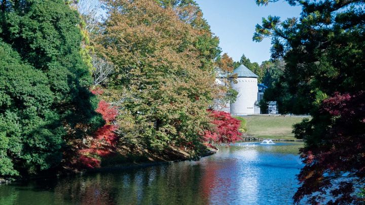 DIC川村記念美術館 外観