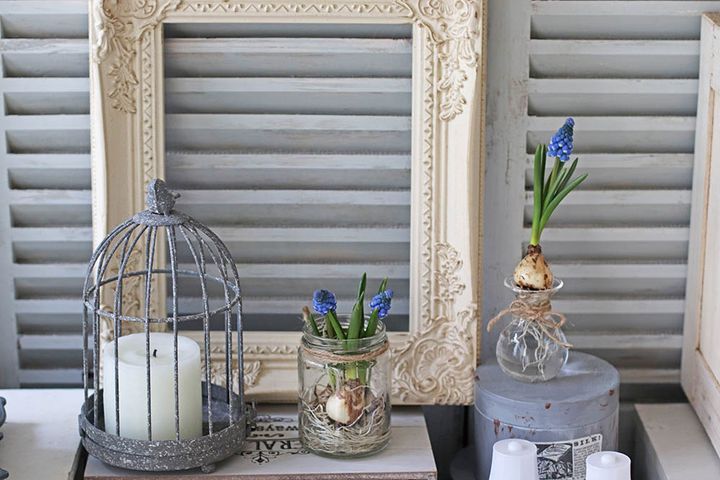 ムスカリの水栽培