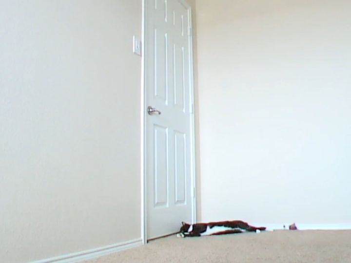 ゴロンとくつろいでいたところを…