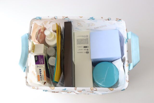 布製収納、コーティング加工、28.5cm×21cm×16cm（ドナルドダック）DC8 使用例