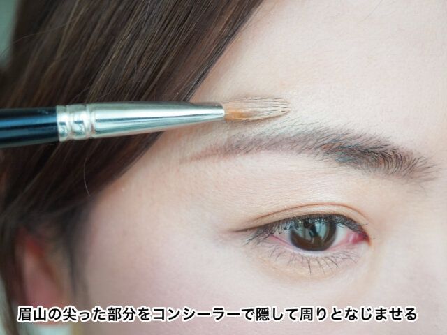 眉山 コンシーラ 使用