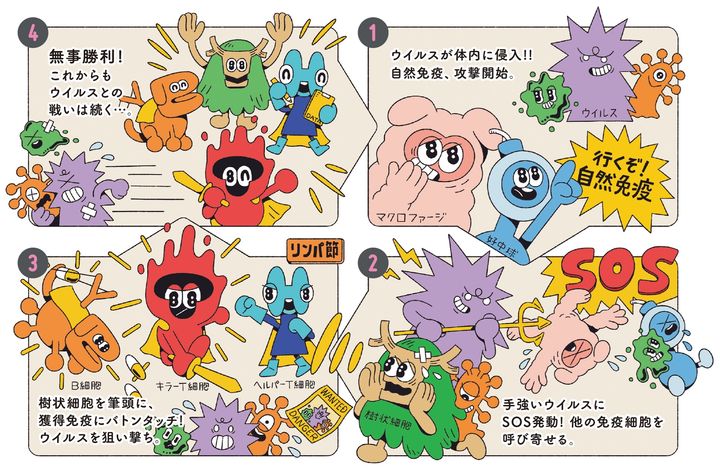 私たちのカラダを守る免疫システム