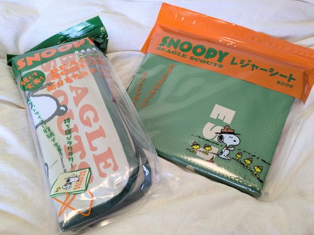 SNOOPY BEAGLE SCOUTS