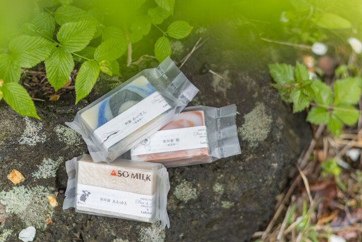 熊本・南阿蘇で見つけた♪豊かな自然の恵みを感じられるお店4選