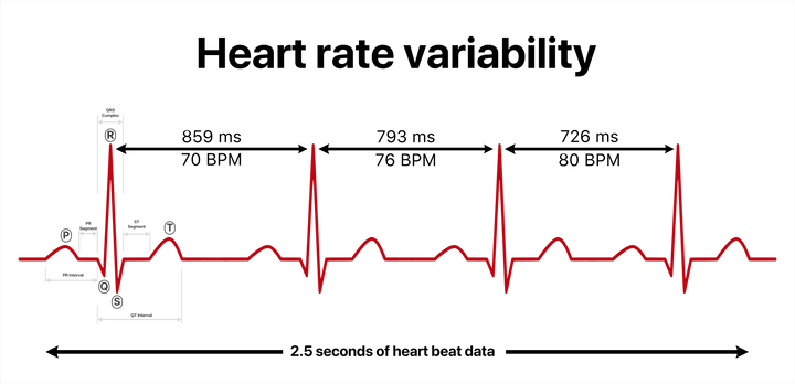 心拍変動のイメージ図（1拍ごとの間隔に変動があると正常な証）