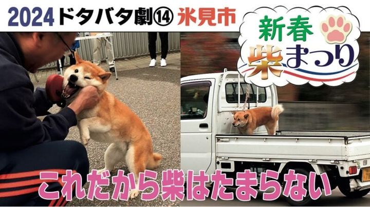 とやまソフトセンター 犬の予防接種YouTube