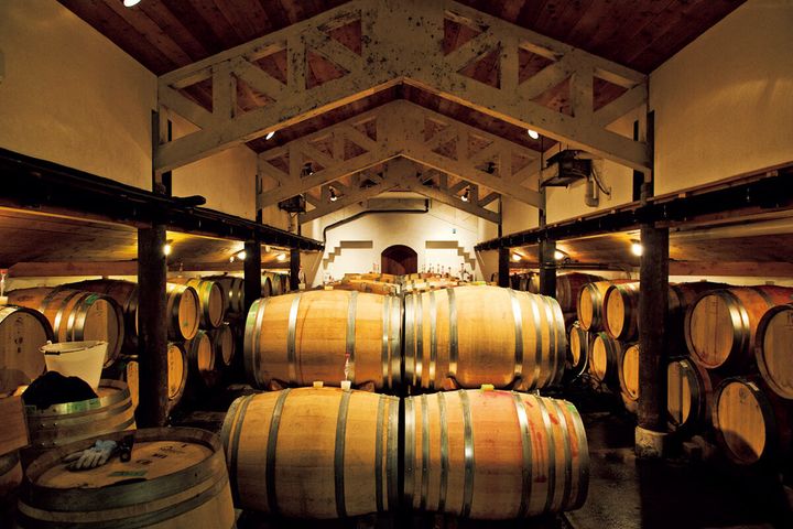 新潟〈カーブドッチ ワイナリーステイ トラヴィーニュ〉発酵蔵