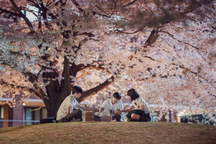 青春時代を彩る桜のシーン。Netflixシリーズ『いつかの君に』独占配信中