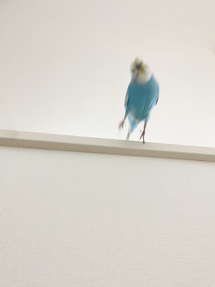 矢吹奈子 スマホ待ち受け