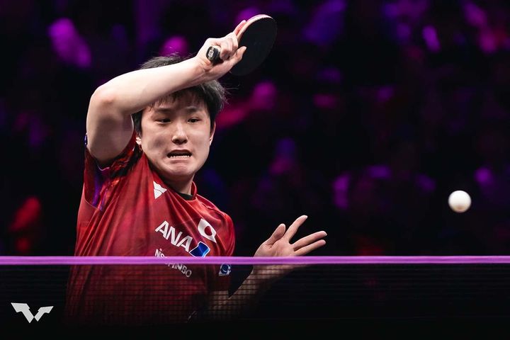 張本智和（C）WTT