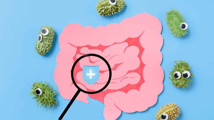 排便が変える脳のキレ──あなたの集中力、腸が握ってる？