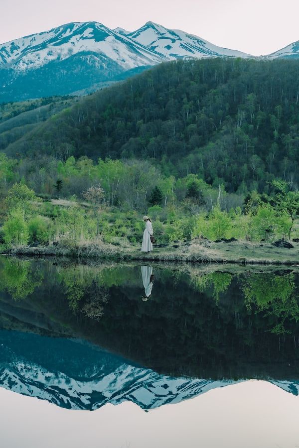 「まいめの池」（夏）