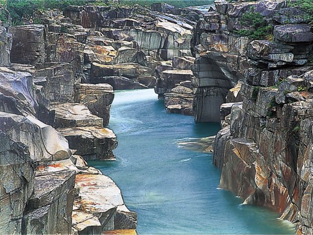 美術公園までは歩きやすい遊歩道も整備されている