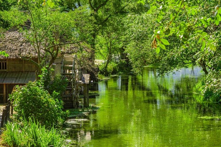 黒澤明監督の映画『夢』のロケ地としても知られる、「大王わさび農場」の水車小屋