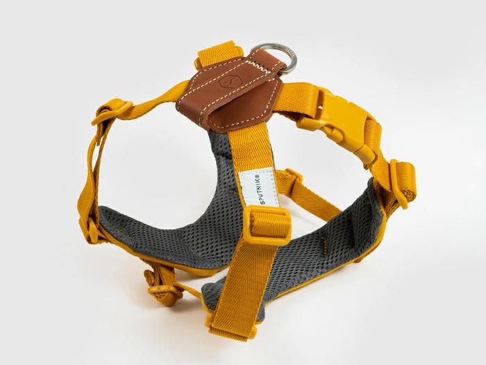 調節機能が付いたハーネス