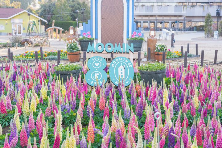 メッツァビレッジに誕生「HYPER MUSEUM HANNO」宮沢湖に猫島も出現