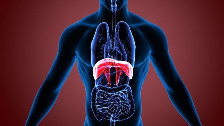 ２年間しゃっくりが止まらなかった男性の血液に隠されていた手掛かりを発見