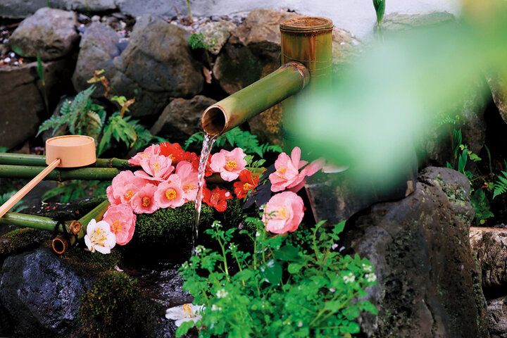 京都よりみちこみち 哲学の道と鹿ケ谷通【後編】