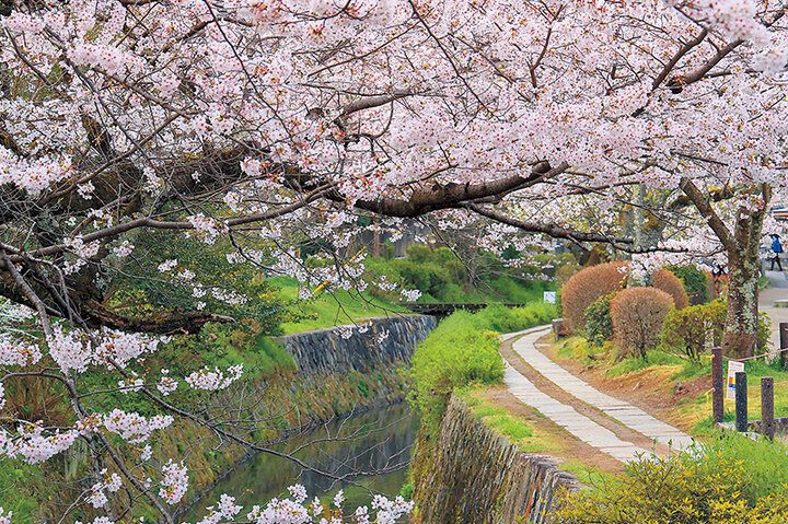 京都よりみちこみち 哲学の道と鹿ケ谷通【後編】