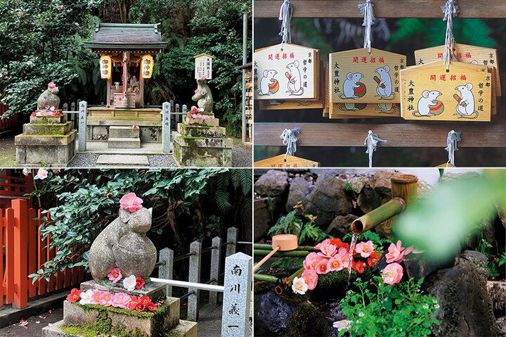 京都よりみちこみち 哲学の道と鹿ケ谷通【後編】