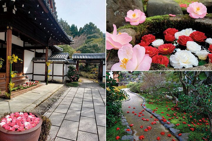 京都よりみちこみち 哲学の道と鹿ケ谷通【後編】