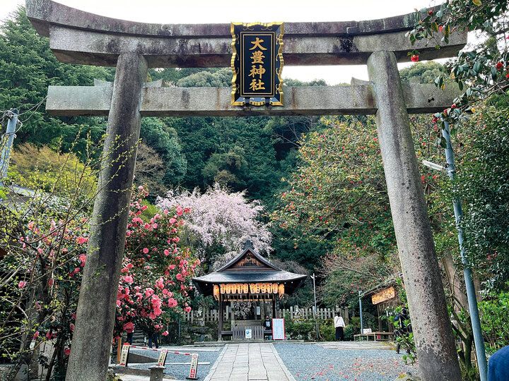 京都よりみちこみち 哲学の道と鹿ケ谷通【後編】