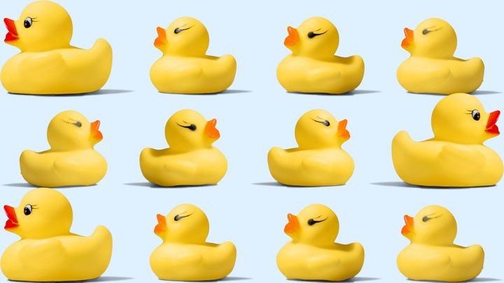 ドカ食いさせずに「フォアグラ」を作る方法を開発