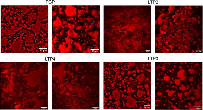 ドカ食いさせずに「フォアグラ」を作る方法を開発