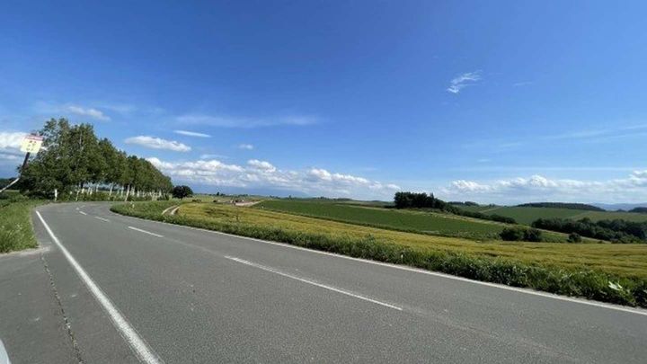 車を借りてドライブしてたら...（画像はイメージ）