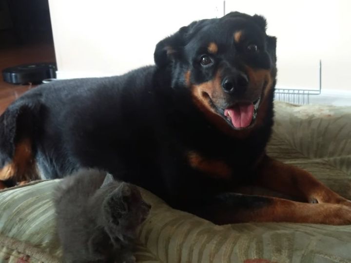 この後「クン活」が始まる…！