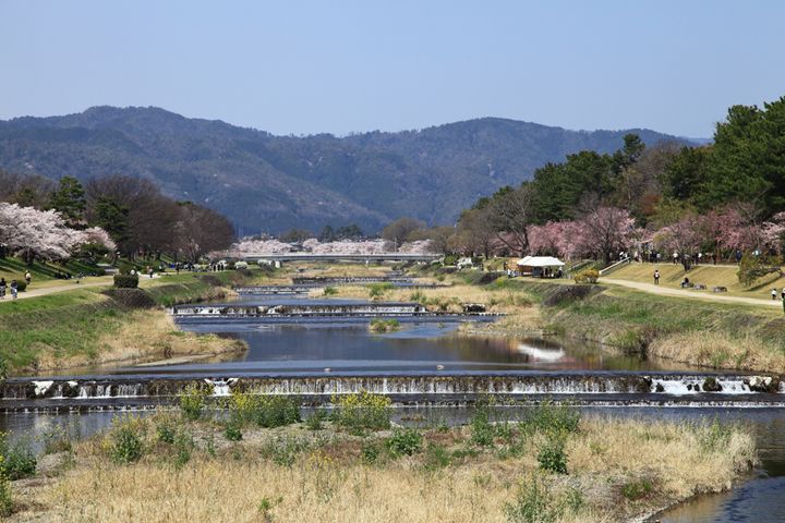 春の賀茂川と北山連峰