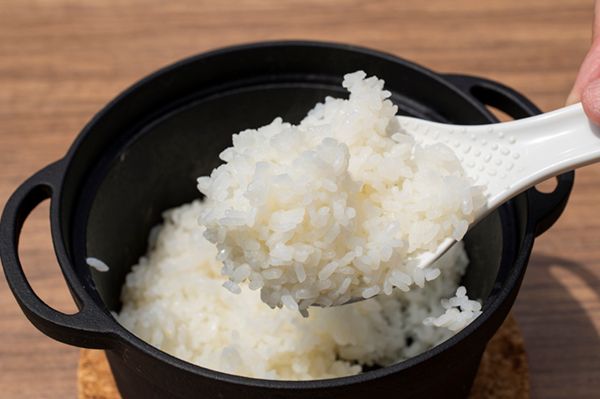 何を買えば正解？初心者にもおすすめ！編集部が厳選した失敗しないライスクッカー4選