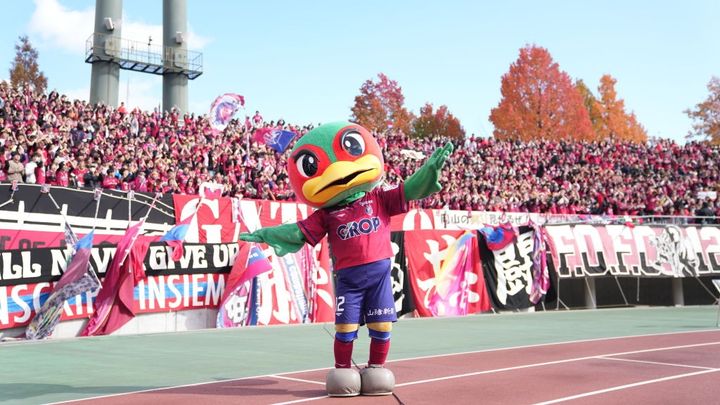 J1初昇格チーム、市内での大規模山林火災に声明 「活動拠点の政田サッカー場からも状況が確認できる場所で起きており…」