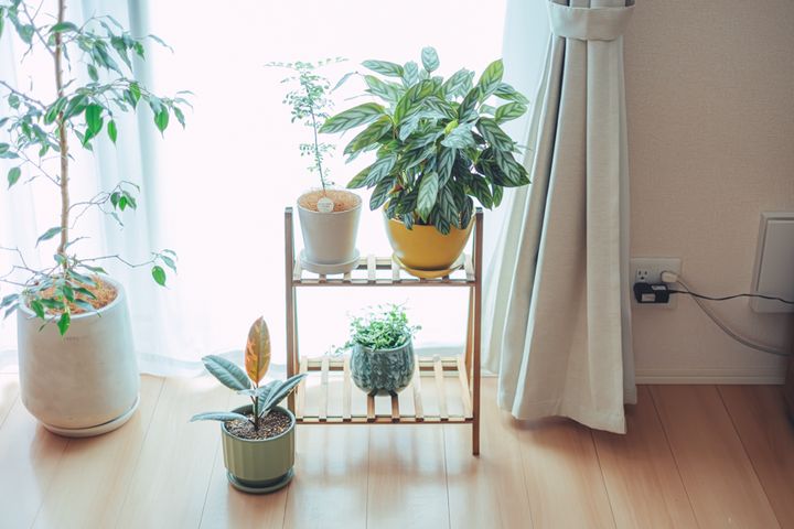 35㎡以下のワンルームでもおしゃれで快適。真似したくなるインテリア3選