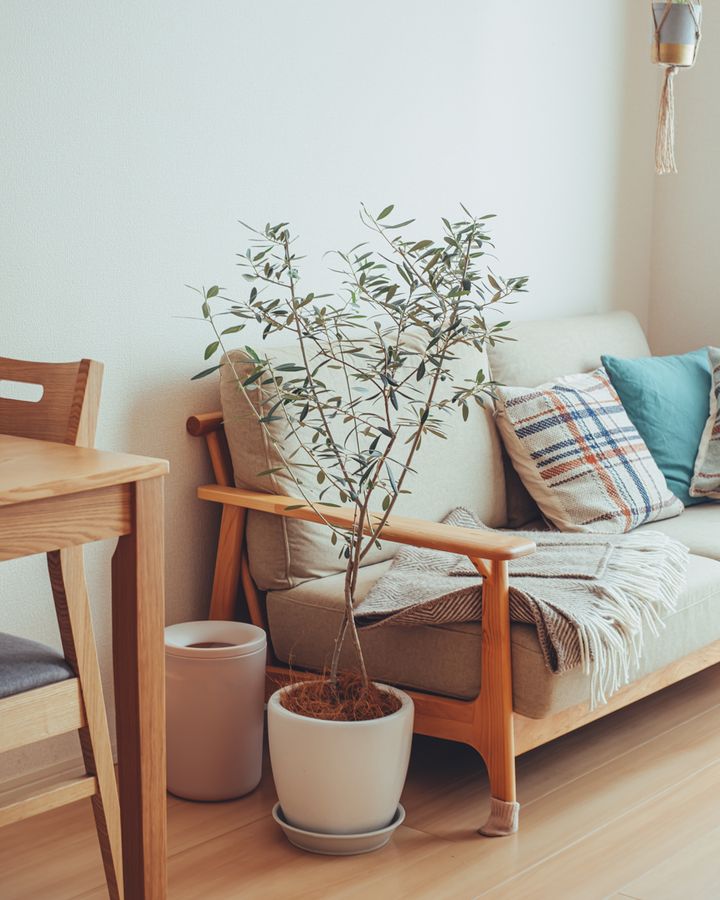 35㎡以下のワンルームでもおしゃれで快適。真似したくなるインテリア3選