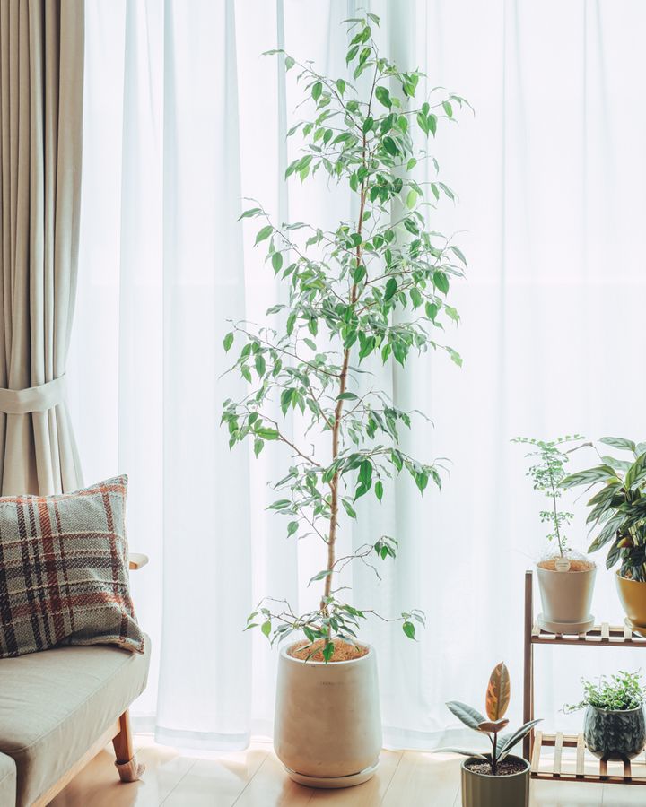 35㎡以下のワンルームでもおしゃれで快適。真似したくなるインテリア3選