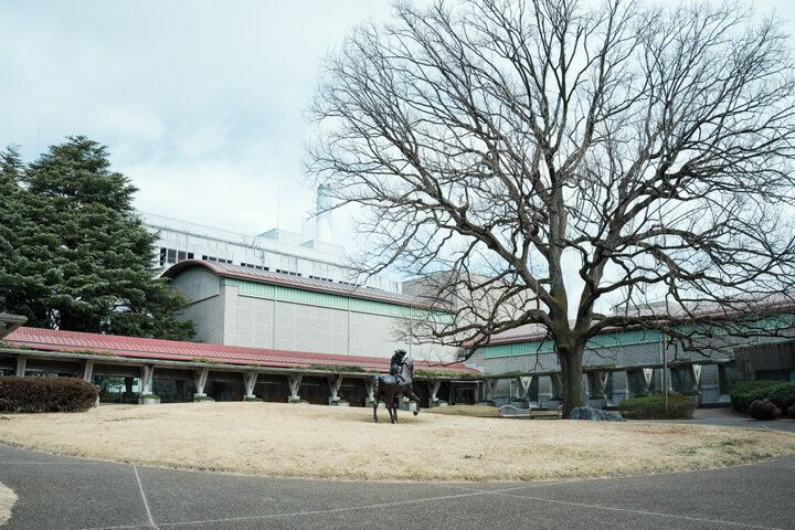 桜の季節にお散歩を♪砧公園の一角にある「世田谷美術館」の「セタビカフェ」でほっと一息
