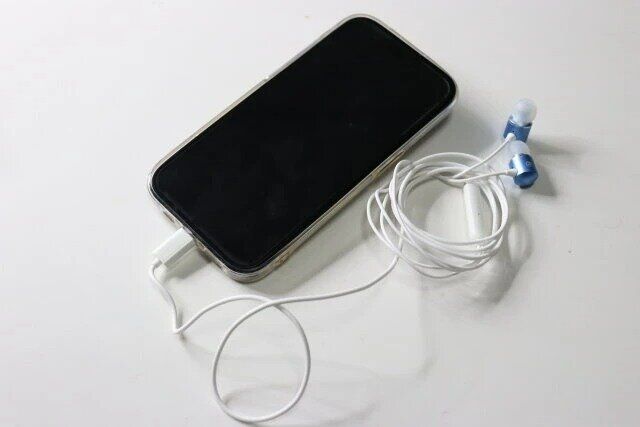 ダイソー Type-Cイヤホン（マイク付、003）