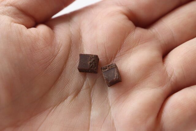 ダイソーのもぐもぐサプリ 鉄分プラスのチョコ