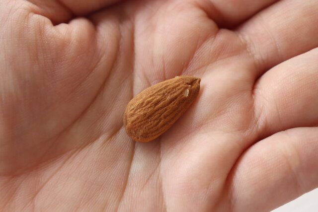 ダイソーのもぐもぐサプリ 鉄分プラスのアーモンド