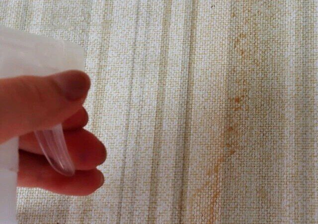 ダイソーの話題のアルカリ電解水100％クリーナー