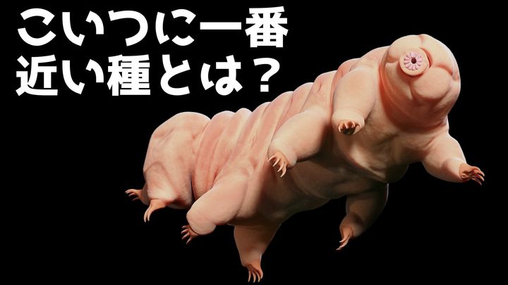 最強クマムシに最も近い種は何か？